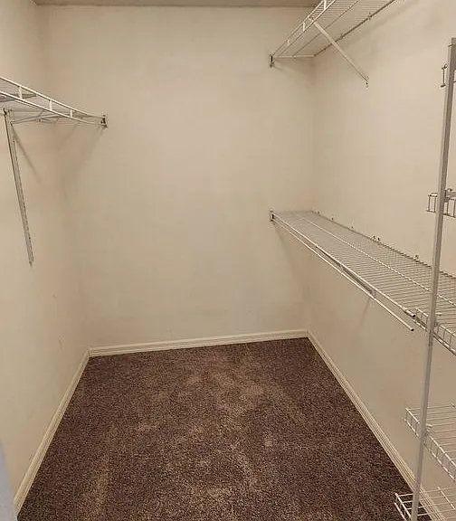 8043 Bracken Ln — Photo 23