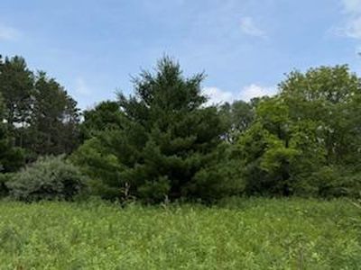 Lot 4 Church Street Lot 4, Merrimac, WI, 53561