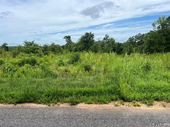 Brown Town Rd, Brodnax, VA 23920