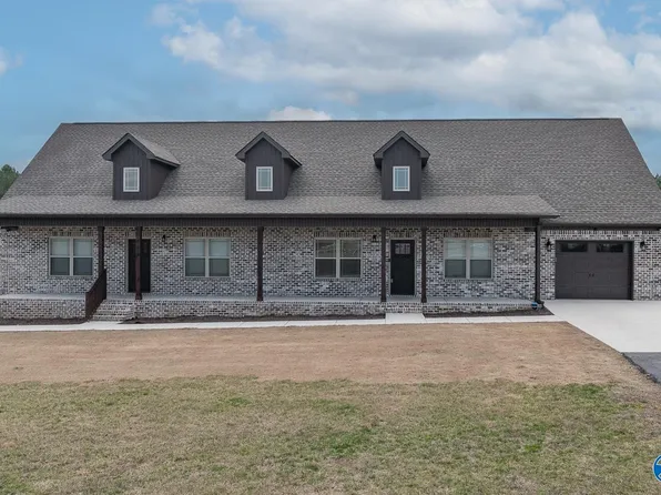 9249 Pulaski Pike NW, Toney, AL 35773