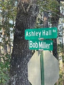 Xx Ashley Hall Rd, Crawfordville, FL, 32327