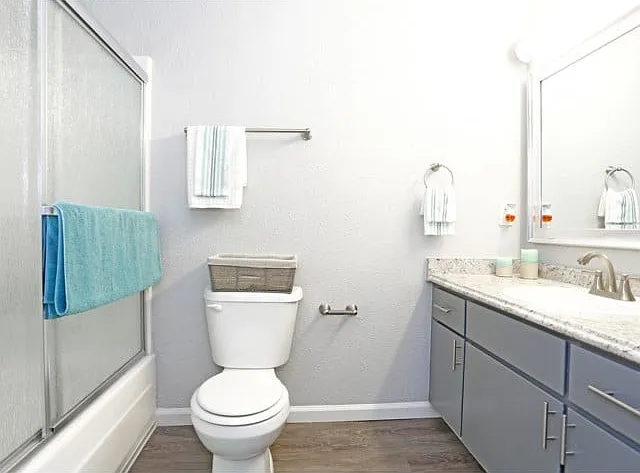 Apartments for Rent