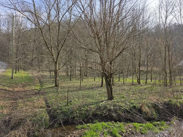 0 Austin Hollow Rd, Pleasant Shade, TN 37145