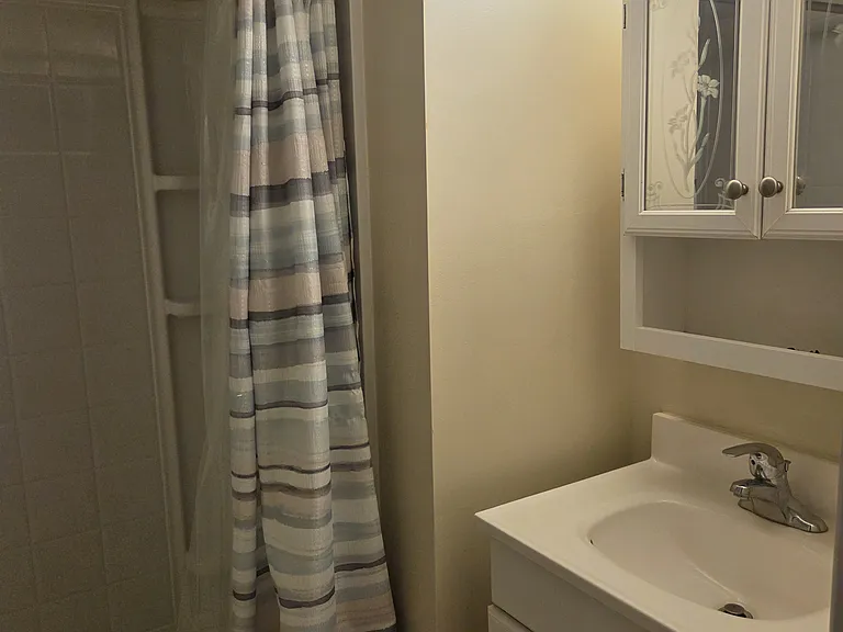 basement bathroom