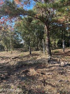 10066 E Gulf Rd, Bay Saint Louis, MS, 39520