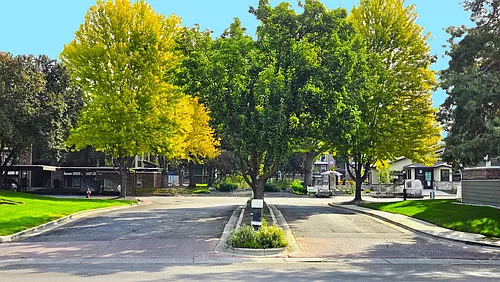 Springs of Royal Oaks Photo 1