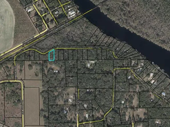 NE 83rd Ave, Old Town, FL 32680