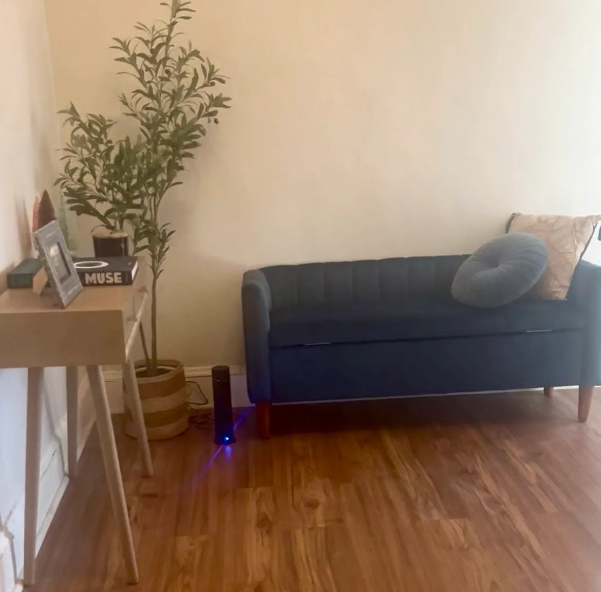 1 bed, 780 sqft, $1,985 — Photo 4
