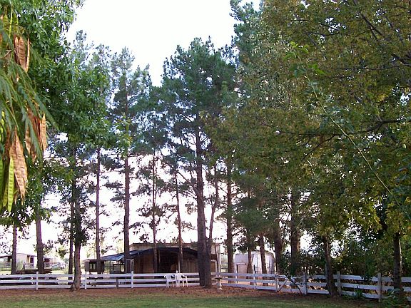 Chicken house from back yard