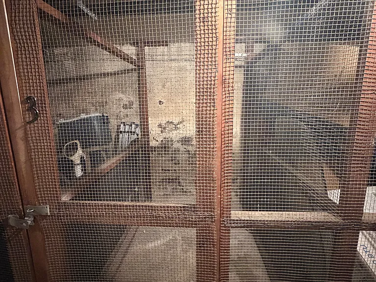 502 Washington Ave #1 — Photo 9