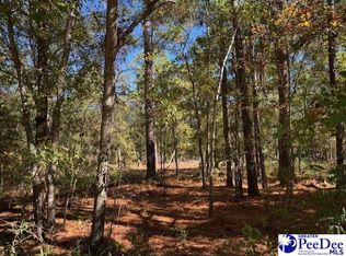 Spencer St, Lydia, SC 29079