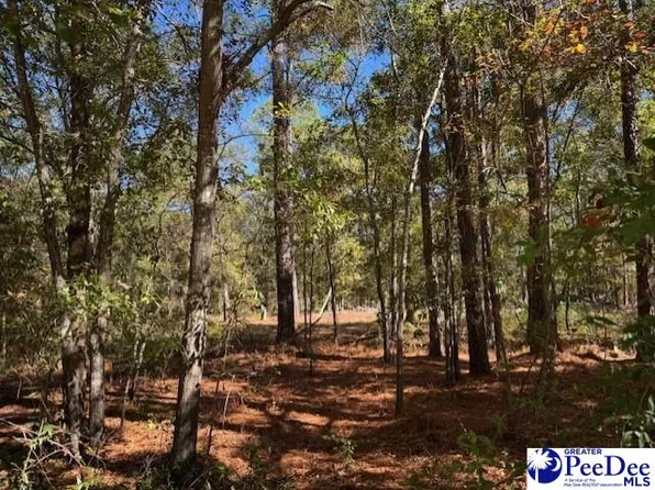 Spencer St, Lydia, SC 29079