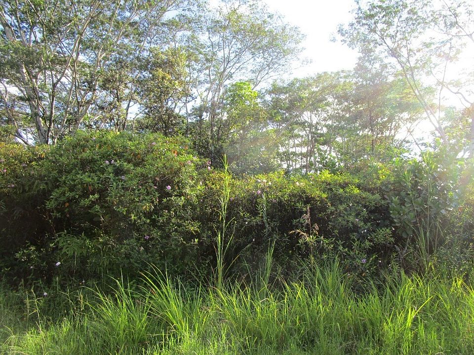 1st image of 13th Avenue Kukui Lot 529
