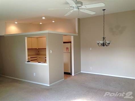 Living & Dining Room Area