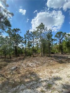411 Wellington Ave, Lehigh Acres, FL, 33972