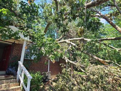 7315 Woodley Place Fls, Falls Church, VA, 22046