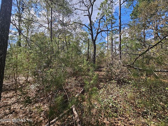 4th image of 416 MOURNING DOVE Road