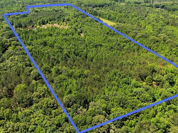 0 County Road 4, Fitzpatrick, AL 36029