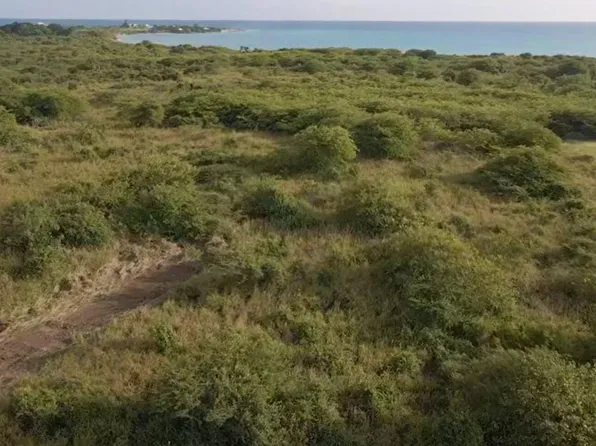 163 Whim (Two Will) WE, St. Croix, VI 00840