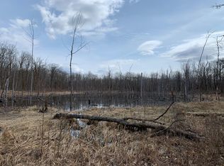 2555X 400th Ave, Rochert, MN 56578