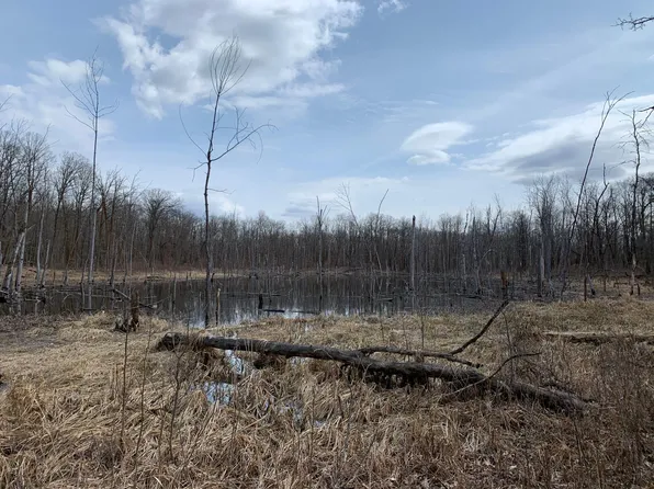 2555X 400th Ave, Rochert, MN 56578