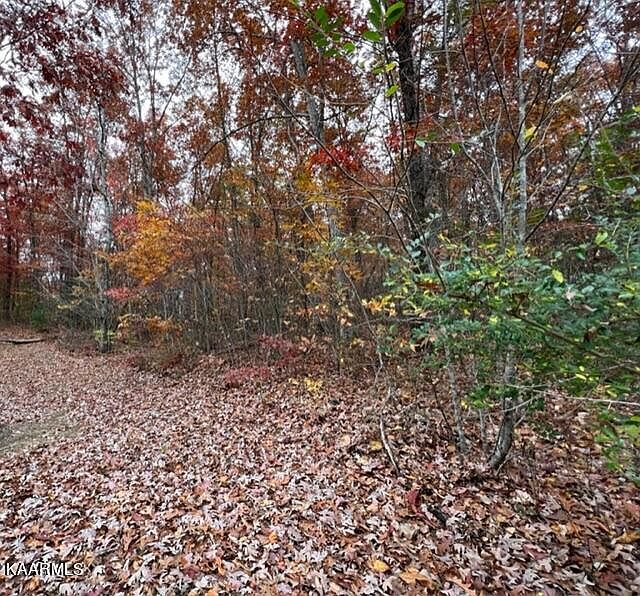 1st image of Wilson Ln