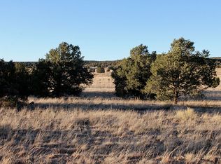 0 Tonto Pass Rd, Quemado, NM 87829