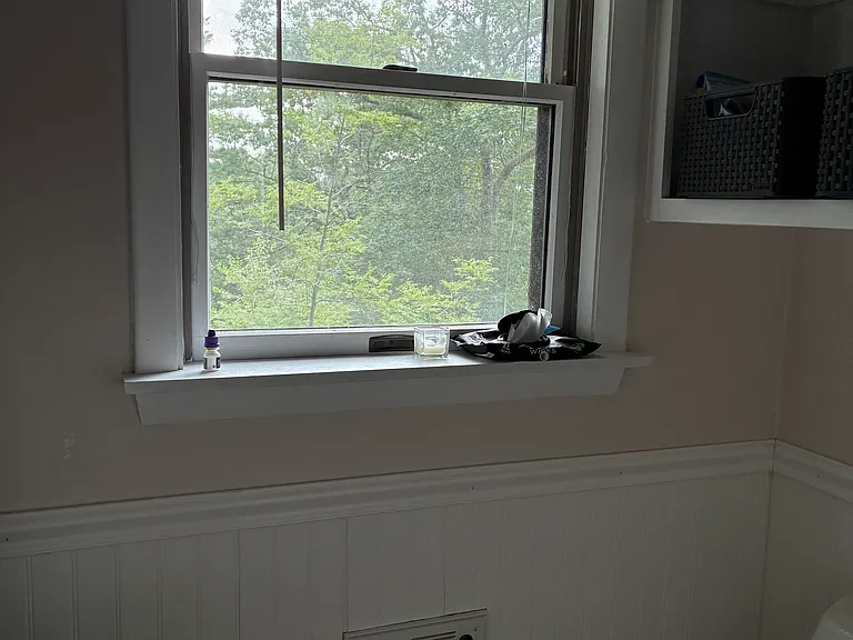 bathroom window