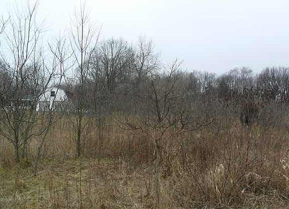 4th image of 29174 County Road 108