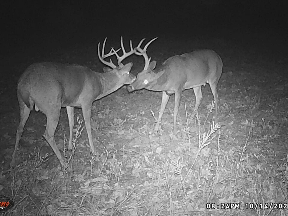 0 State Highway Uu, Washburn, MO 65772 MLS 232822 Zillow