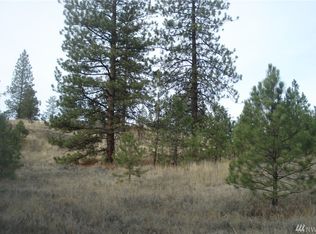 40 Tbd Pasayten Vu Rd, Tonasket, WA 98855