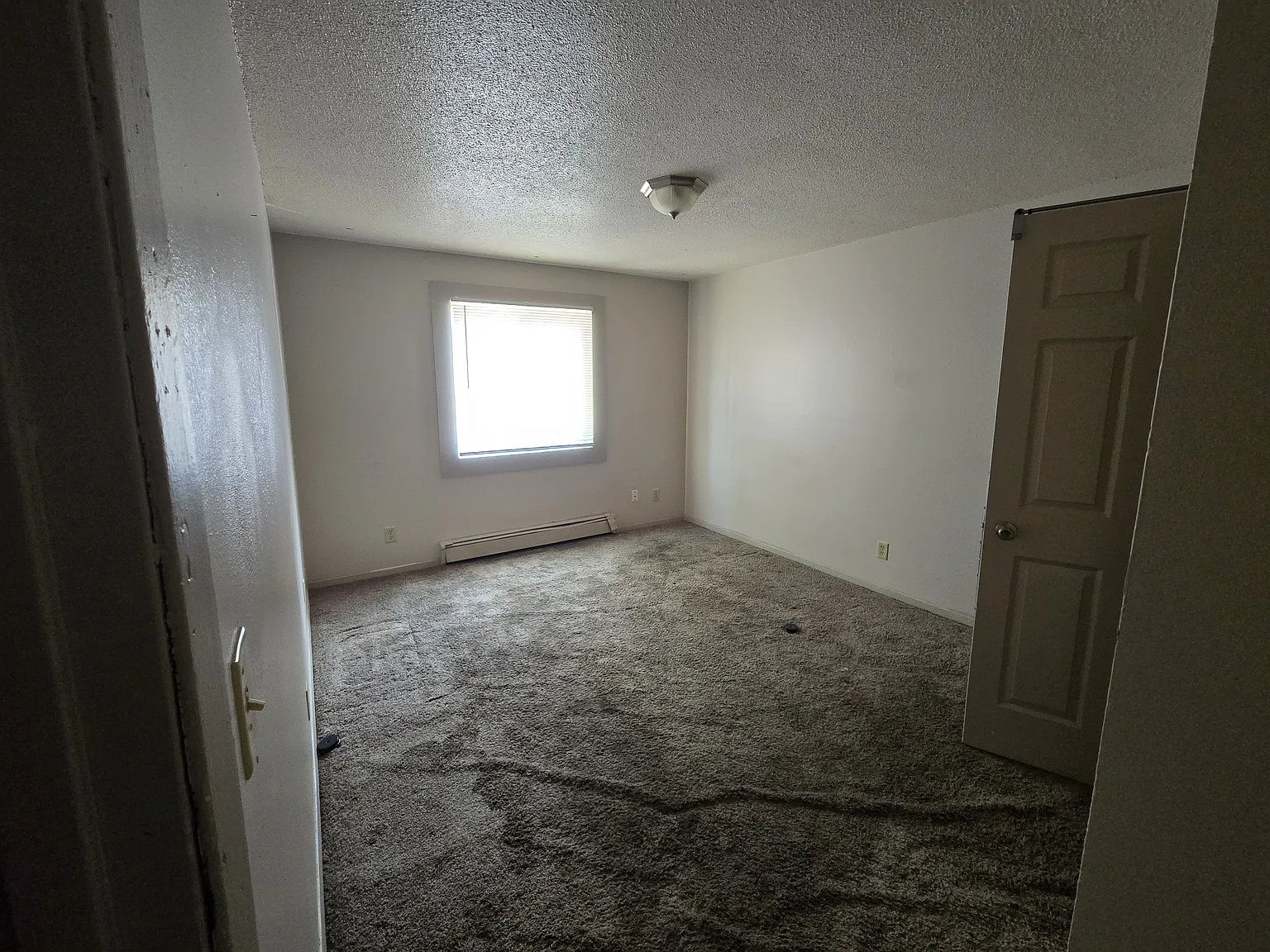 3 bed, 780 sqft, $1,200 — Photo 4