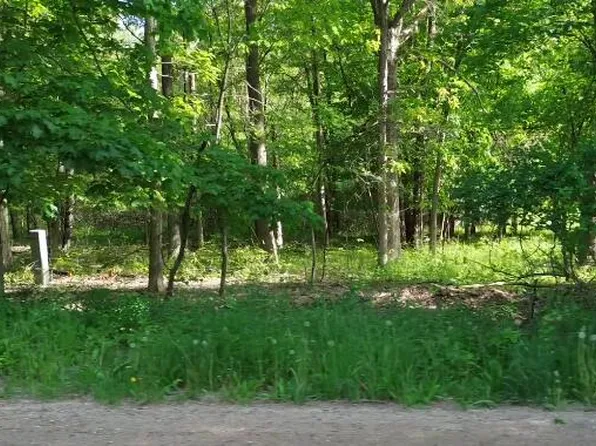 6338 Three Mile Rd NE, Ada, MI 49301