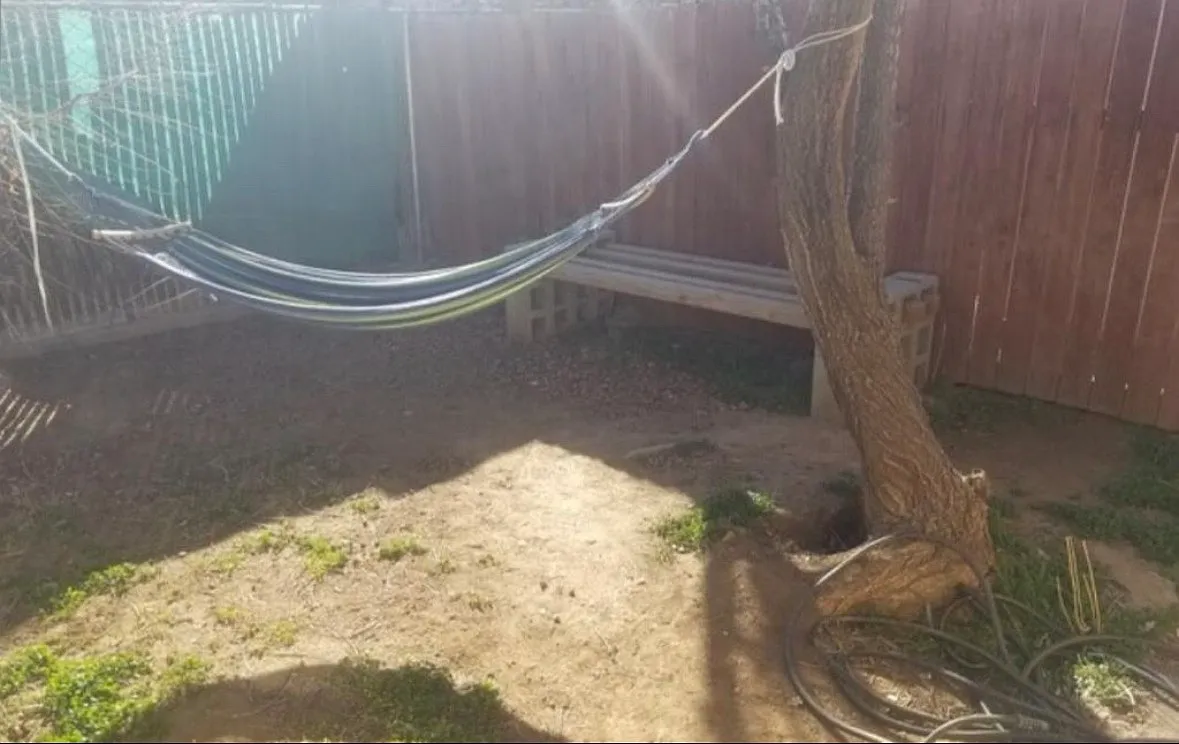 1 bed, 700 sqft, $2,295 — Photo 3