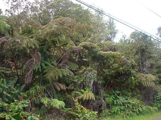 2nd image of Liona St Lot 53-B