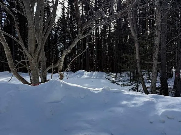 38 Spruce Grove Road, Parson's Pond, NL A0K3Z0