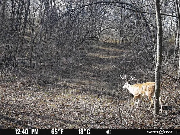 59 +/- Ac State Hwy 80, Richland Center, WI 53581