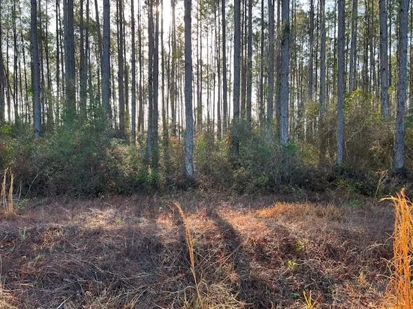 12 Douglas Landing Rd, Wewahitchka, FL 32465
