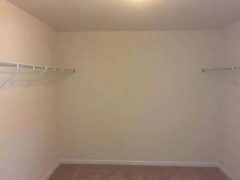 1009 Blue Stream Ln — Photo 11