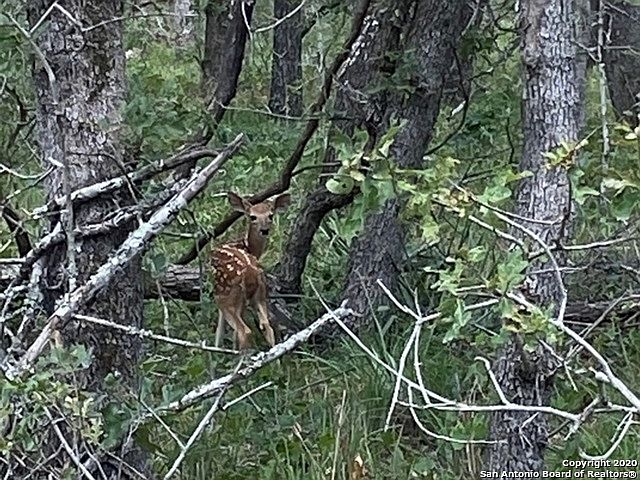 1st image of 3865 County Road 307