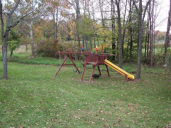 back yard