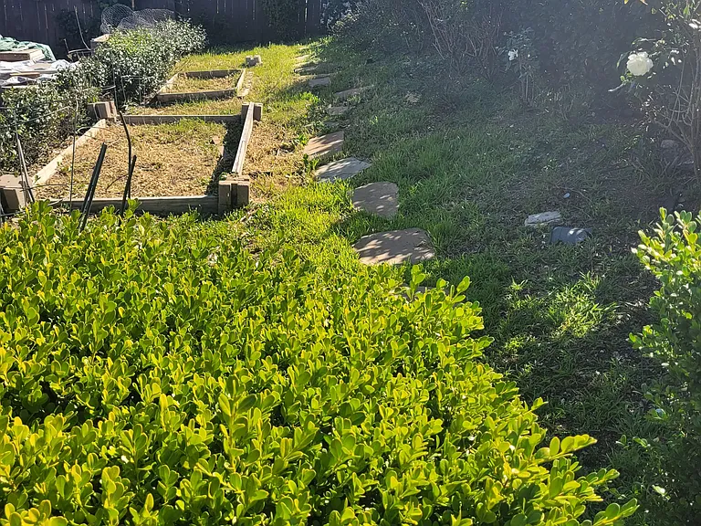 639 Calle Tulipan — Photo 11