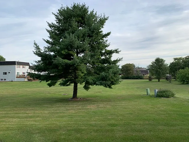 2 bed, 850 sqft, $1,300 — Photo 2