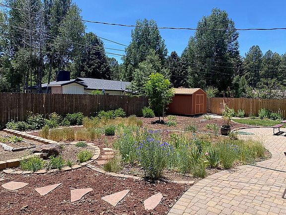Back yard