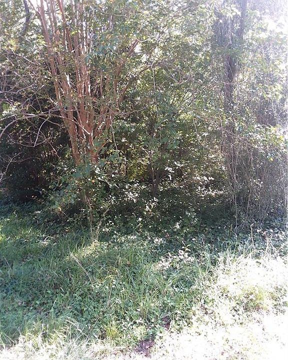 1st image of 1013 Hemlock Dr