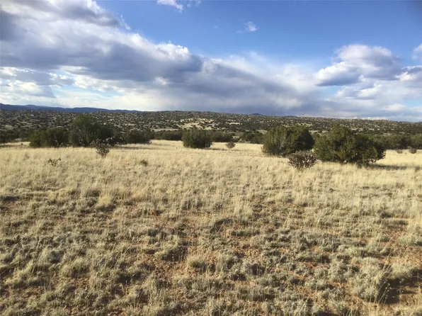 Lots 49 And 50, El Rito, NM 87530