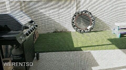 4th image of 7961 Playmor Ter