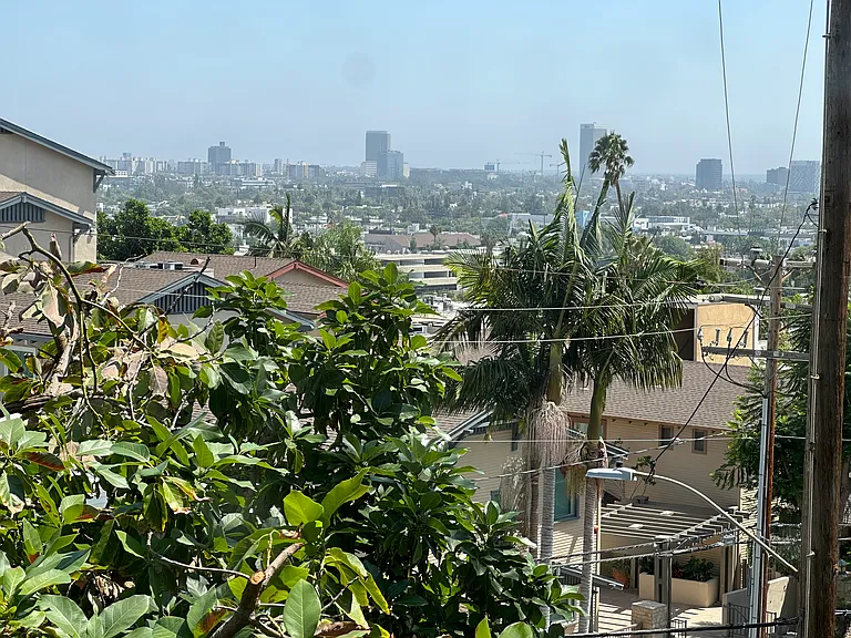 Ten Eleven Palm Avenue — Photo 37