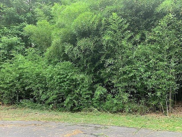 1st image of 54 Crabtree Dr Lot 54