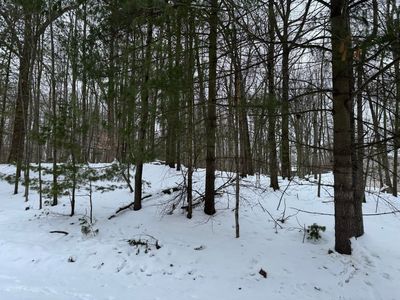 10953 Shawnee Trl, Stanwood, MI, 49346